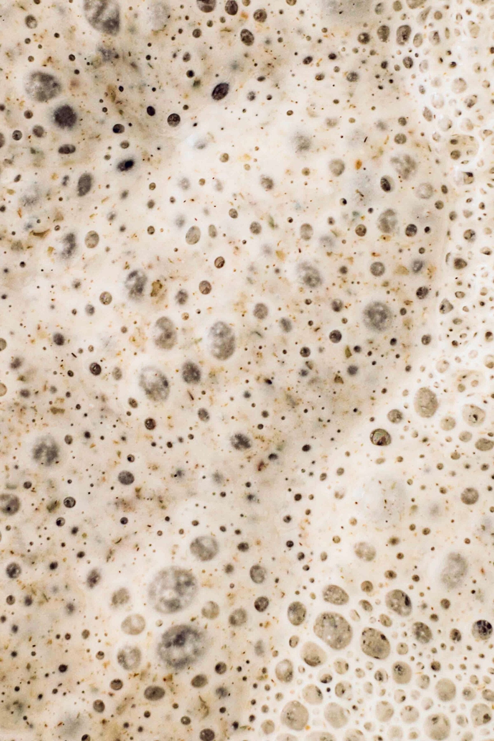 Close up of sourdough starter