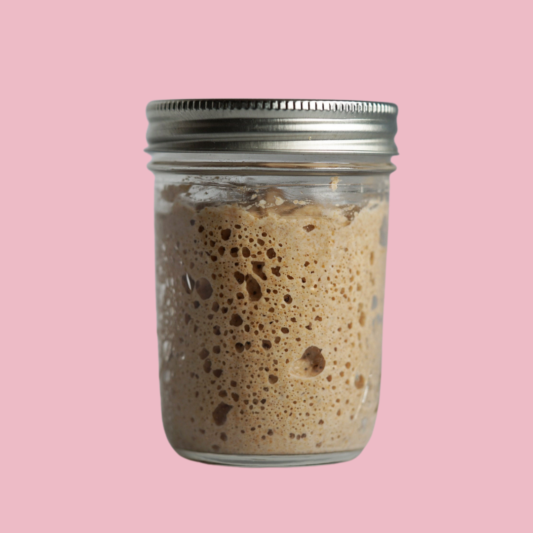 Rye sourdough starter used in SourDog's fermented dog treats for sensitive stomach