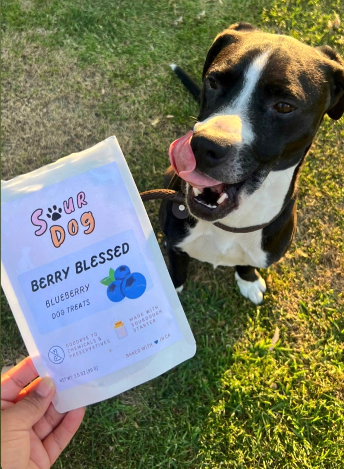 A dog licking its mouth at the sigh of SourDog's blueberry sourdough dog treats for sensitive stomach