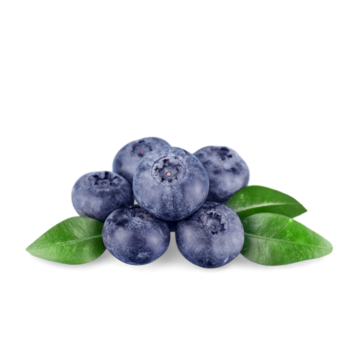 Blueberries used in SourDog dog treats for sensitive stomach