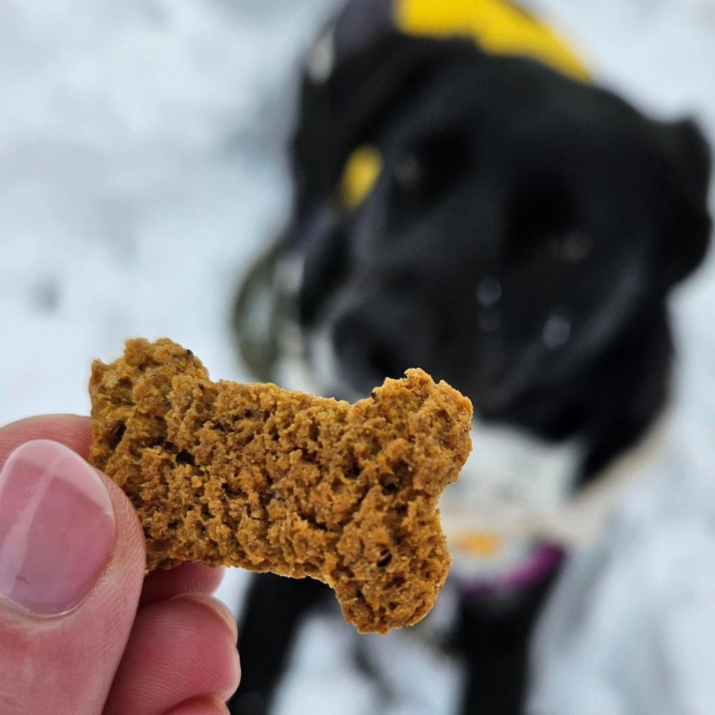 A closeup of SourDog's OG flavor which is sweet potato sourdough dog treat