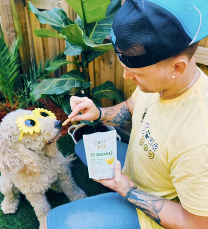 Man feeding his doodle dog SourDog's Go Bananas, banana sourdough dog treats for sensitive stomach