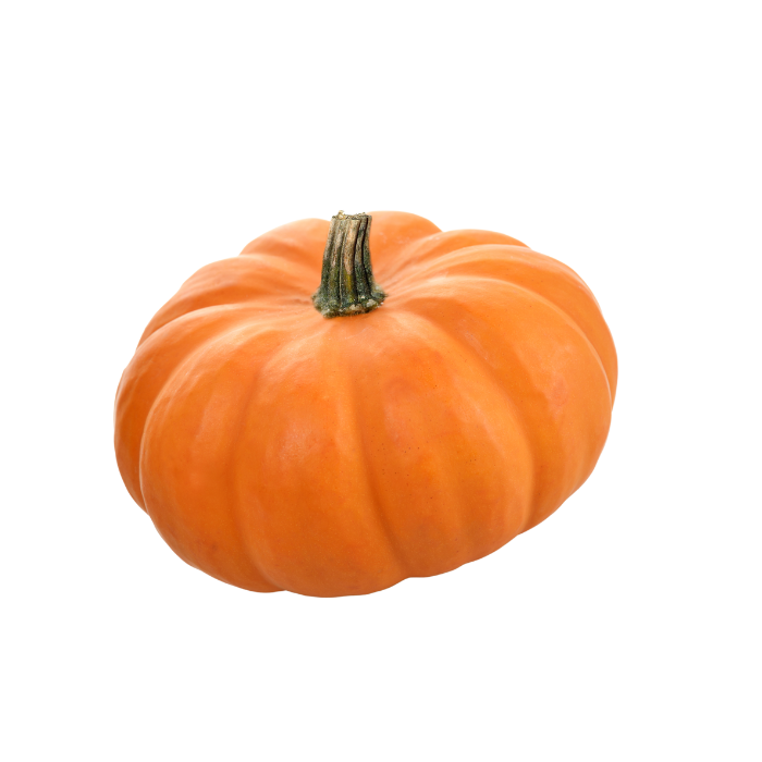 Pumpkin used in SourDog dog treats for sensitive stomach